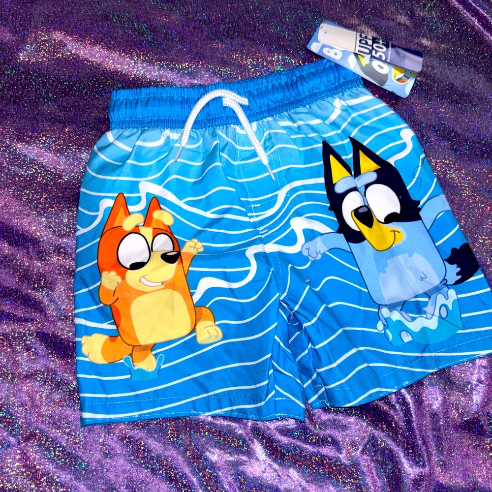 Boys Bluey Swim Trunks